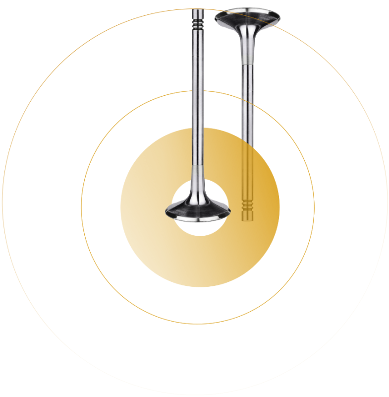 АО ЧЕЛЯБИНСКИЙ АВТОМЕХАНИЧЕСКИЙ ЗАВОД